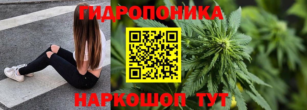Каннабис Amnesia Звенигород